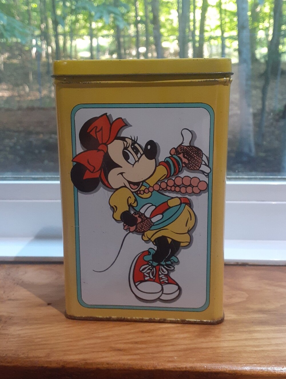 Vintage (1988) Walt Disney Totally Minnie Collectible Tin